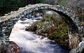 09 Carrbridge Copyright Villayat Sunkmanitu